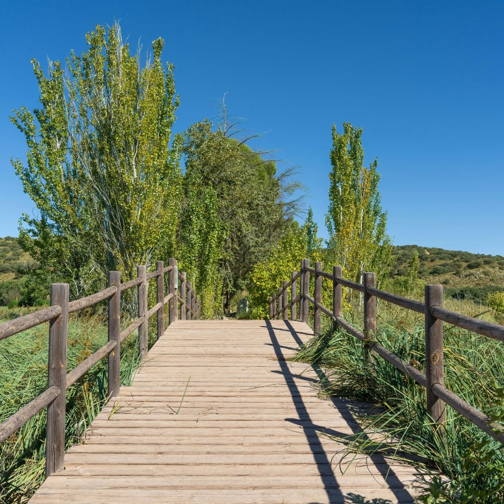 Fencing and interlock installation services in Khalifa City Abu Dhabi